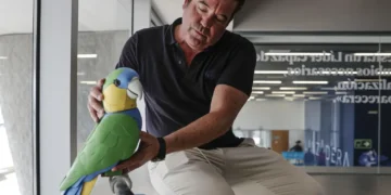 Onorato IA, el loro ‘inteligente’ que busca redefinir el cuidado diario de los mayores
