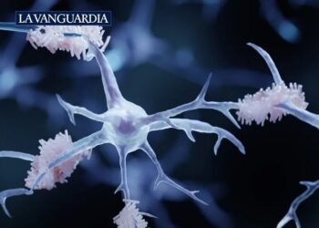 El Alzheimer ya se puede diagnosticar precozmente con un análisis de sangre