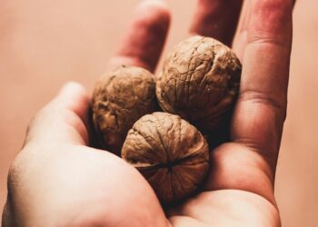 El consumo de nueces reduce el riesgo de padecer cáncer de Colon