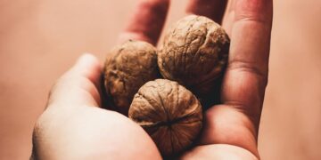 El consumo de nueces reduce el riesgo de padecer cáncer de Colon