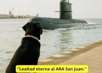 Un perro fiel extraña los oficiales del ARA San Juan