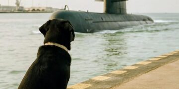 Un perro fiel extraña los oficiales del ARA San Juan