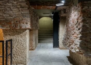 Un impactante animal prehistórico estuvo suelto en La Manzana de las Luces