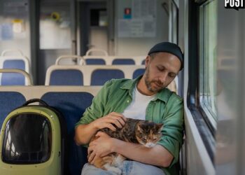 Ahora los porteños podrán viajar con sus mascotas