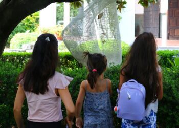 Continúa «Cultura de Verano 2026»