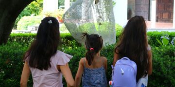 Continúa «Cultura de Verano 2026»