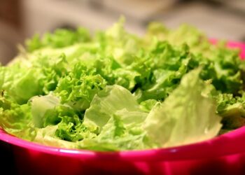 El secreto para que la lechuga permanezca saludable durante más días