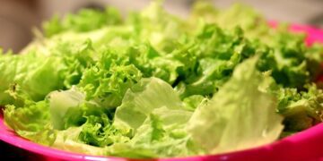 El secreto para que la lechuga permanezca saludable durante más días