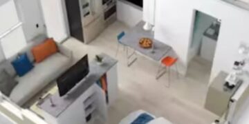 Así es la casa prefabricada de 37 metros cuadrados donde vive Elion Musk