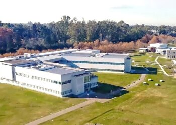 La Universidad Austral lidera la producción científica entre las universidades privadas argentinas